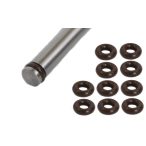 DAYTONA INJECTOR LOWER SEALS, QTY 10
