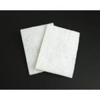 ProClean Cleaning Pad (2 Pack)
